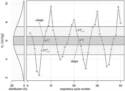 Periodic Fluctuation of Tidal Volumes Further Improves Variable Ventilation in Experimental Acute Respiratory Distress Syndrome